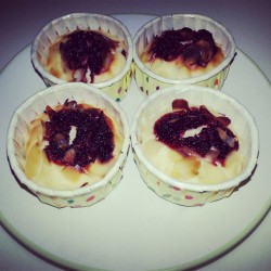 Steam Mulberry Jam Cupcake