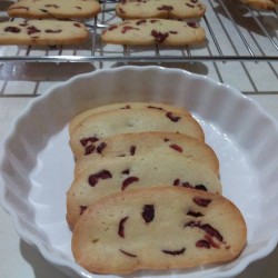 yap - cranberries biscotti