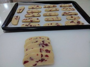 yap - cranberries biscotti1