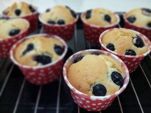 yap lai fan-blueberry cupcake